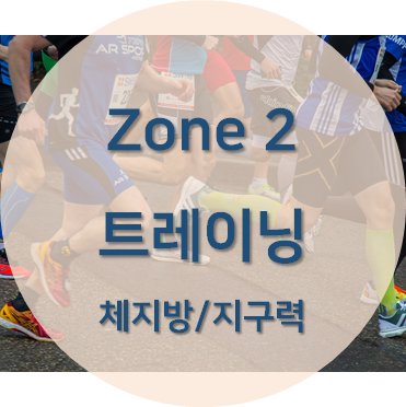 존2 운동법을 다룬 콘텐츠 섬네일