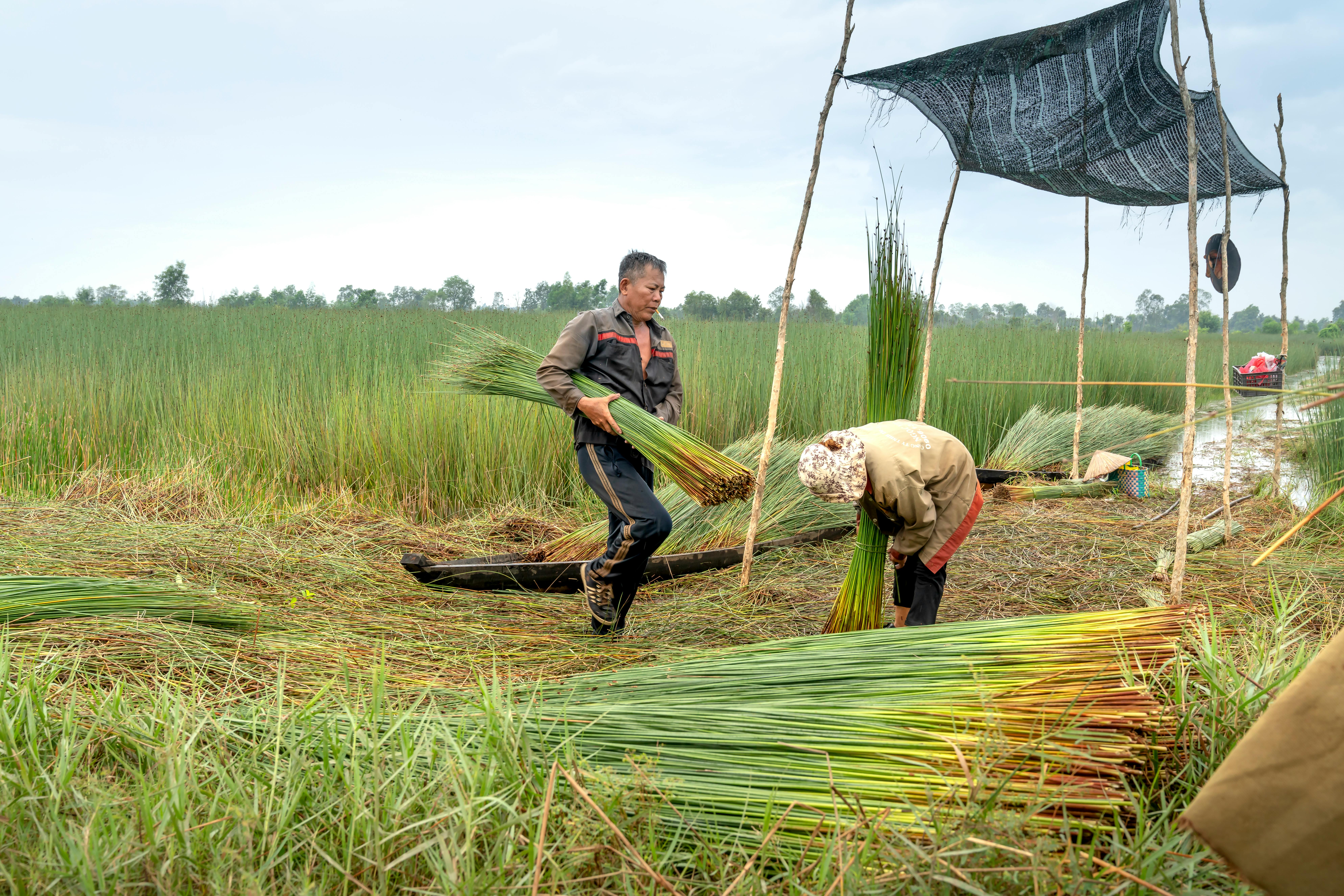 2025년 경기도 농어민 기회소득, 농촌 기본소득 신청대상, 금액, 방법