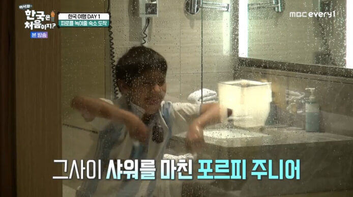 포르피주니어