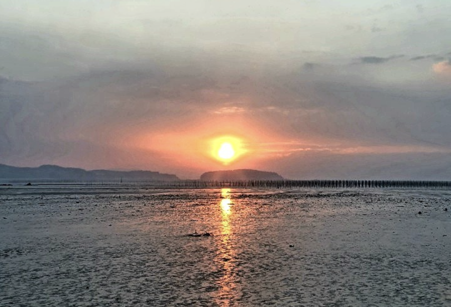 서천 마량포구 일출