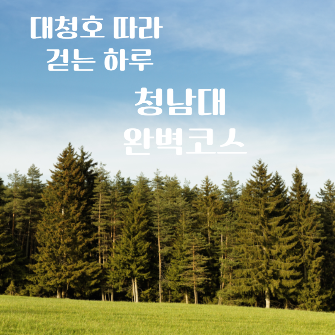 청남대 여행 가이드