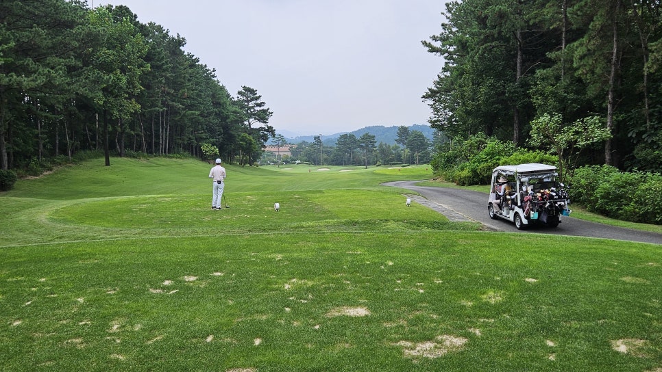 골프장 경험담 여주 세라지오CC 자연 속에서 즐기는 프리미엄 퍼블릭 골프장의 품격