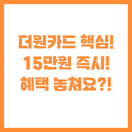 연회비 25만원 더원 카드 15만원 ..