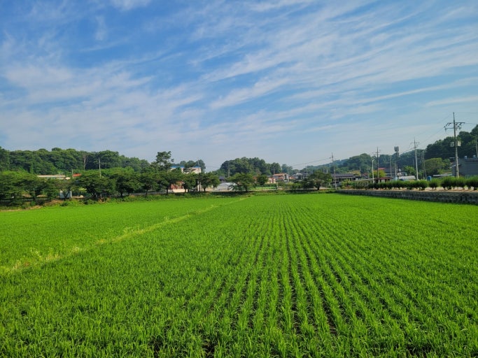 농지이양 은퇴직불금 총정리｜지원대상&middot;신청절차&middot;지급액&middot;필요서류 한눈에 관련 사진