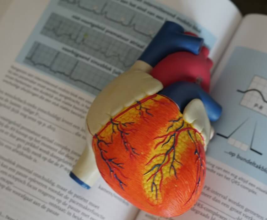 심폐소생술 가슴압박위치