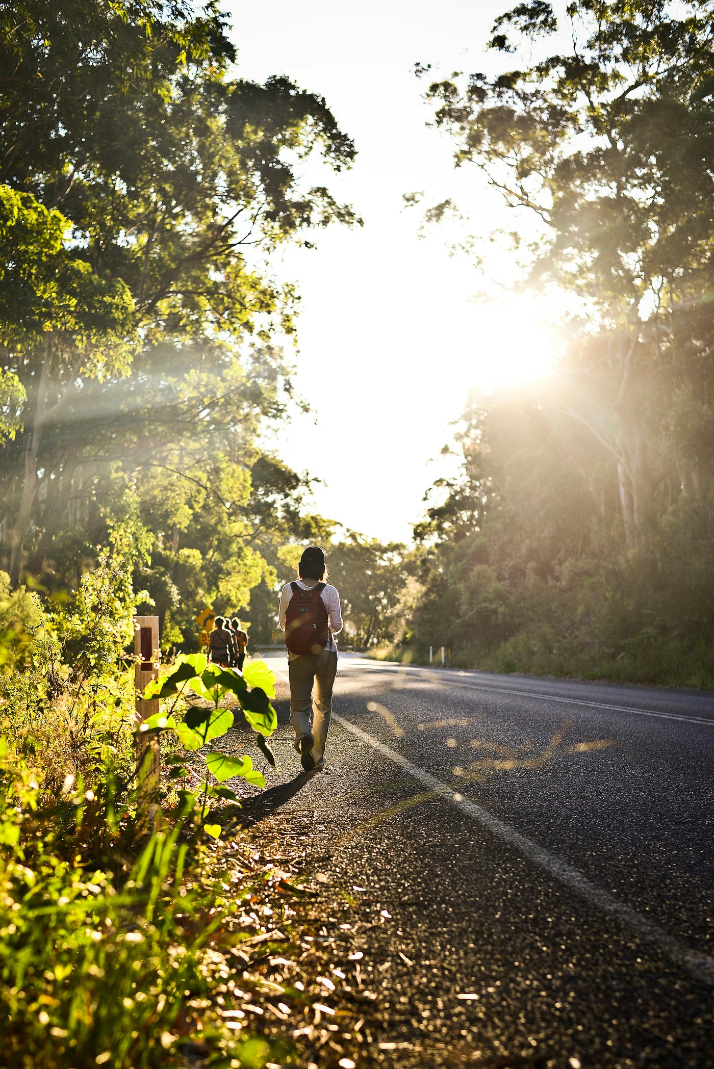 아침 햇빛 노출이 생체리듬을 재설정하고 하루 컨디션을 좌우하는 이유