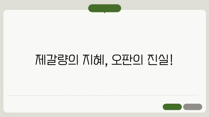 제갈량의 외교적 전략