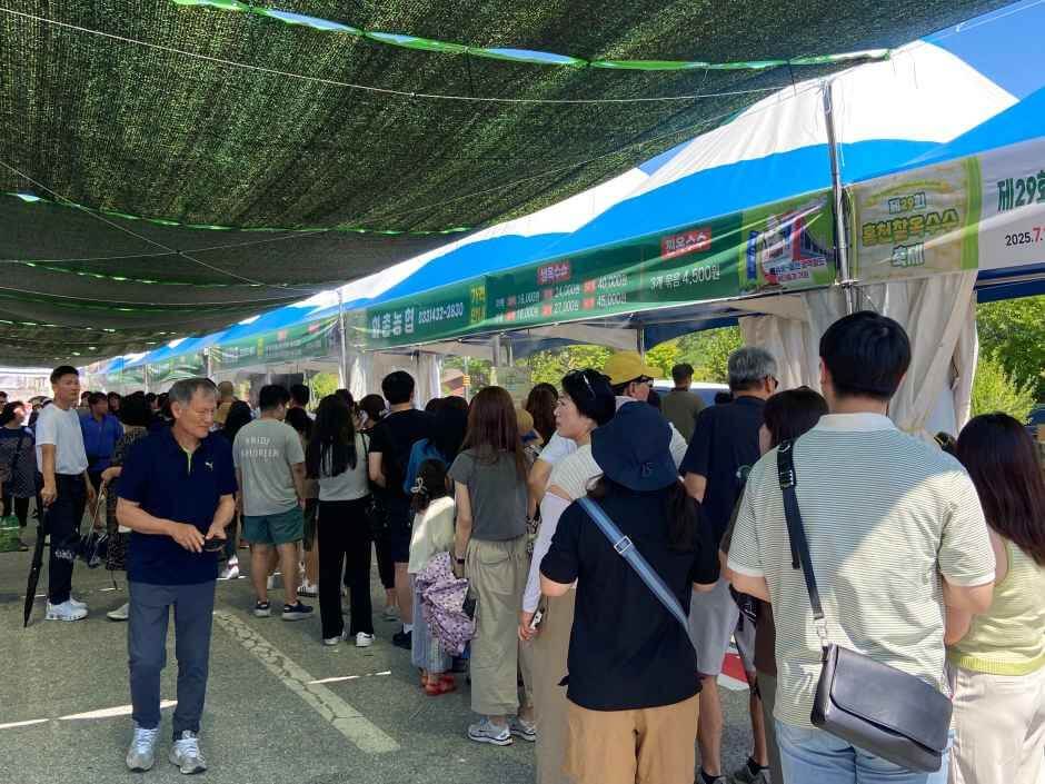 홍천 찰옥수수 축제 2026