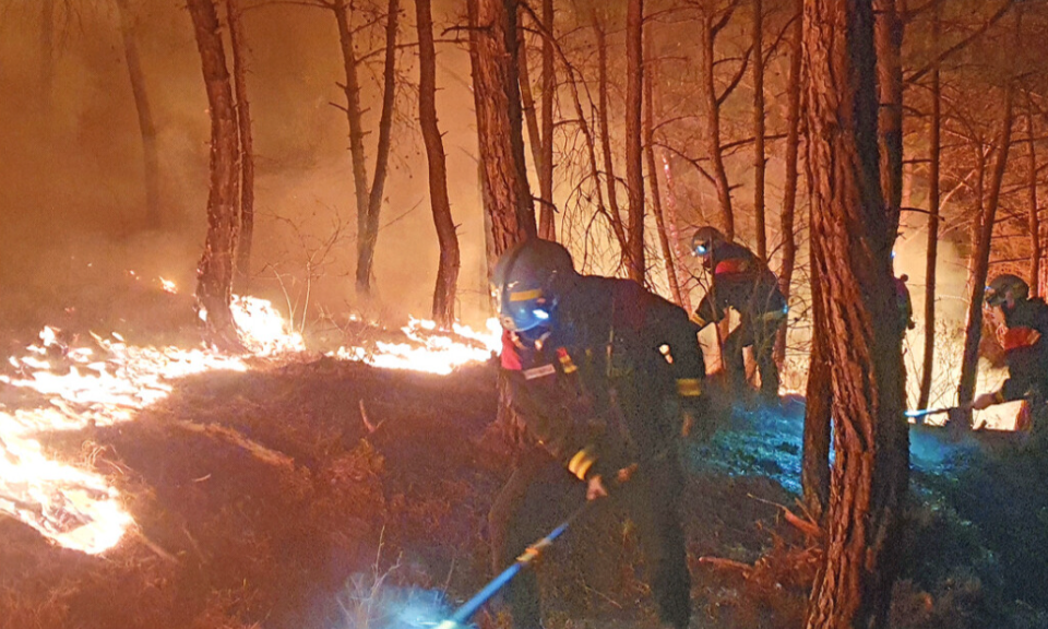 한국-산불-산림청