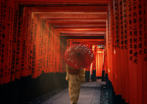 일본-입국심사-qr코드