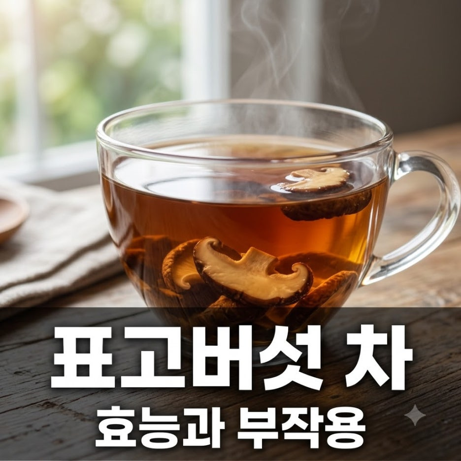 표고버섯-차-효능과-부작용