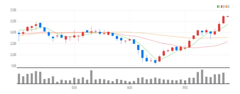 다우데이타 주봉