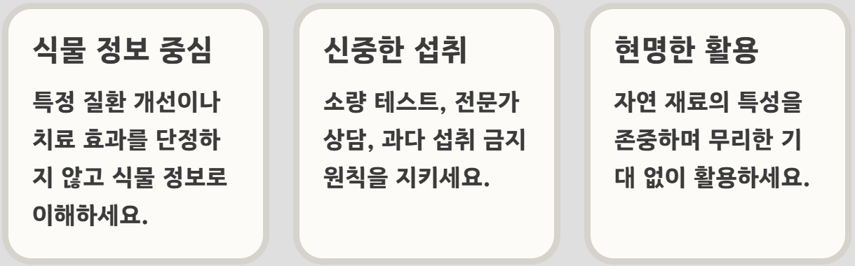 감태나무의 효능 열매 차 기름