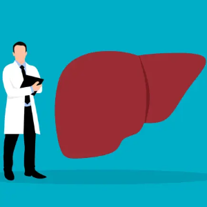 몸의-장기-중-간