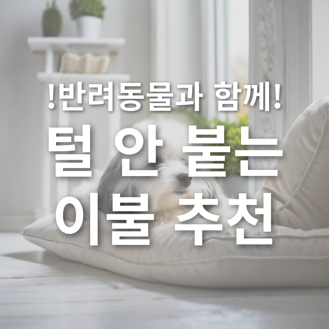 털 안 붙는 이불 추천