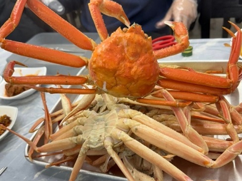 영덕-대게-항구식당