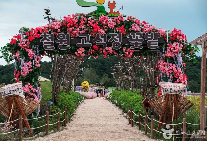 철원 화강 다슬기축제
