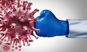 노년충 면역력 관련 사진