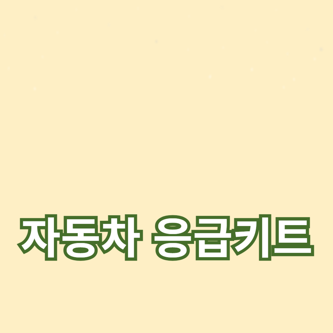 자동차 응급키트 필수품목 리스트