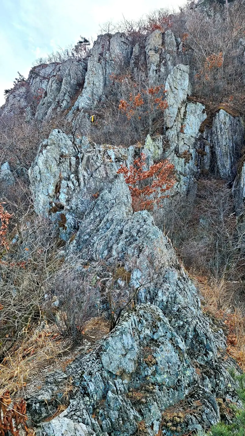 경북 청도 복호산&지룡산