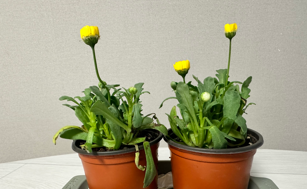 '물티슈', '생리대' 같은 가격인데 양이 줄었다? 소비자에게 꼭 알려야 합니다