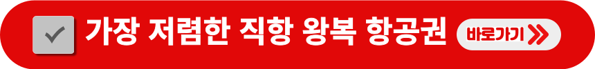 가장-저렴한-직항-왕복-항공권-검색