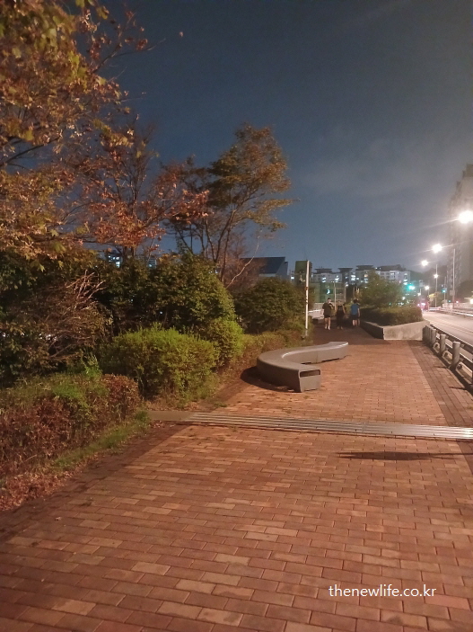 광진교 8번가 카페 야경 – 조명이 켜진 밤의 벤치와 보행로