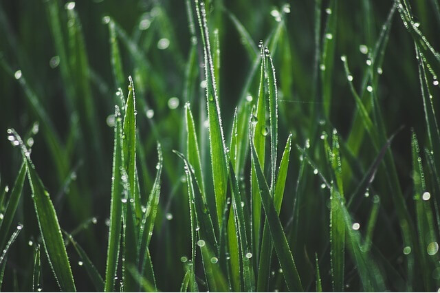 아침에 개운하게