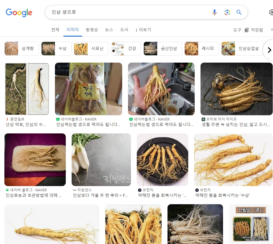 깨끗하게 손질된 신선한 수삼을 생으로 씹어 먹는 장면