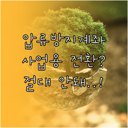 압류방지 계좌 사업용 전환 불가 이유..