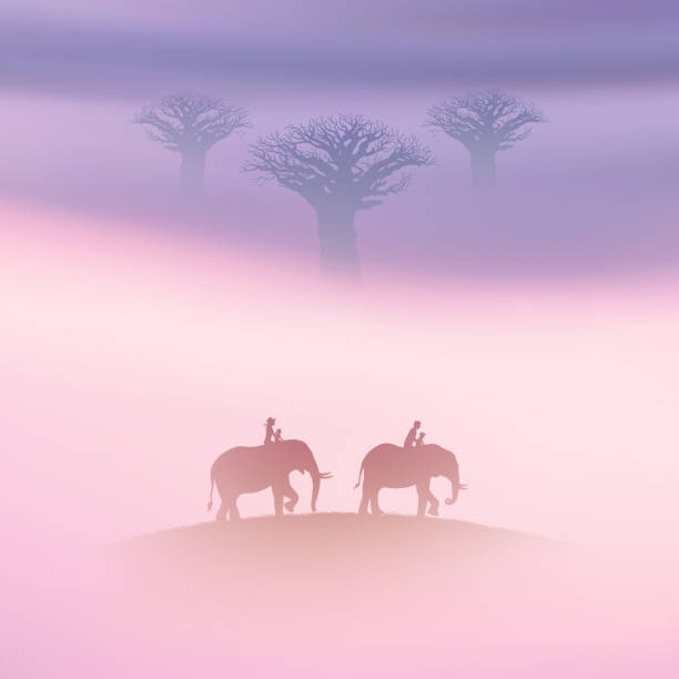 코끼리 꿈 해몽