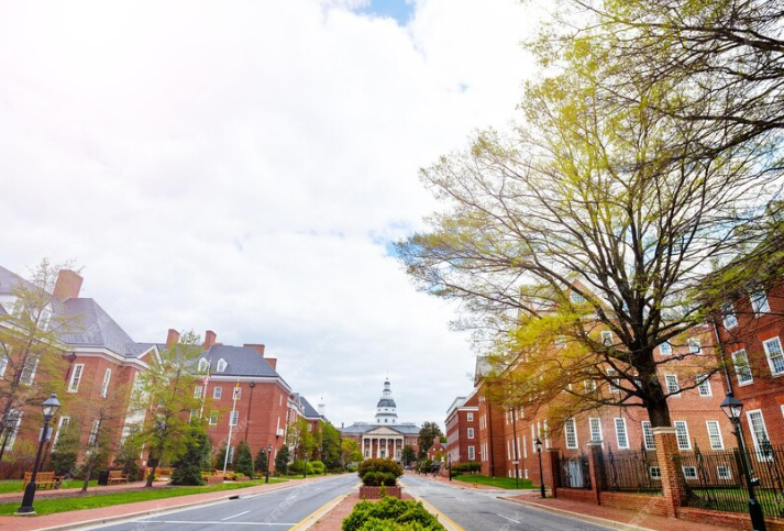 고려대 논술전형 관련 사진