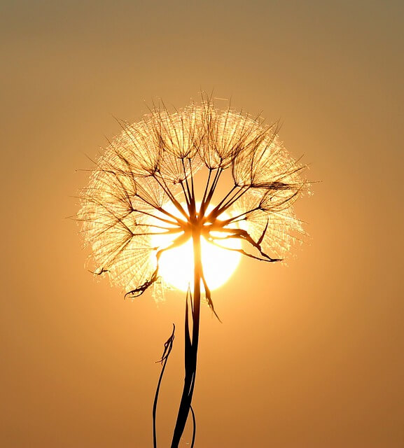 해돋이명소