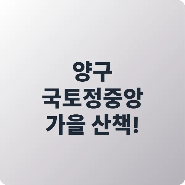 양구 국토정중앙 가을 산책! 5가지 꿀팁 따라 해봐요