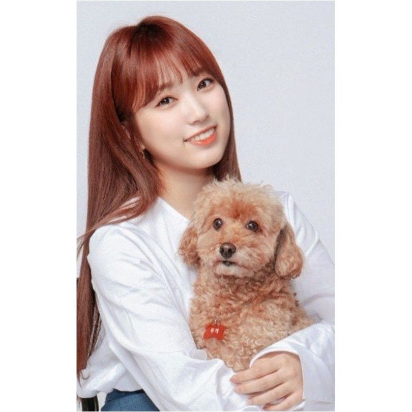 아이즈원 야부키나코 아이즈원 야부키나코