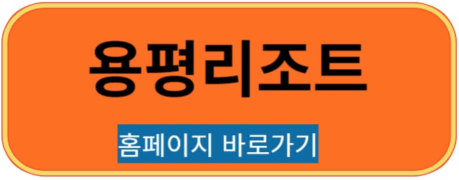 용평리조트 바로가기