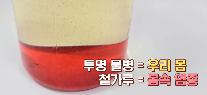 맥문동 효능