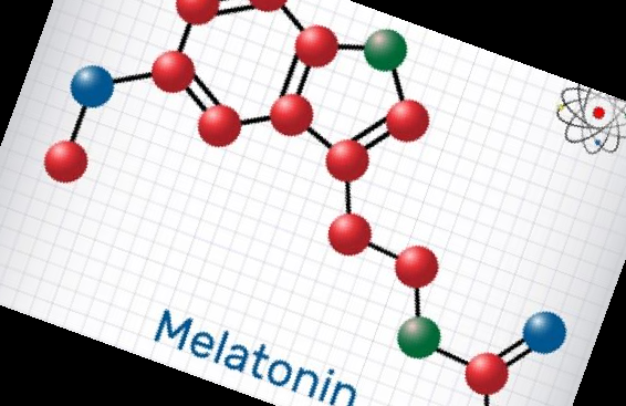 수면영양제 감태잠태 효능 부작용 주의사항