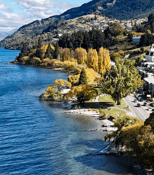 뉴질랜드 워킹홀리데이 완벽 가이드: 비자부터 정착까지