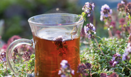 우엉차 효능 9가지 부작용 끓이는법 총정리 (2024)