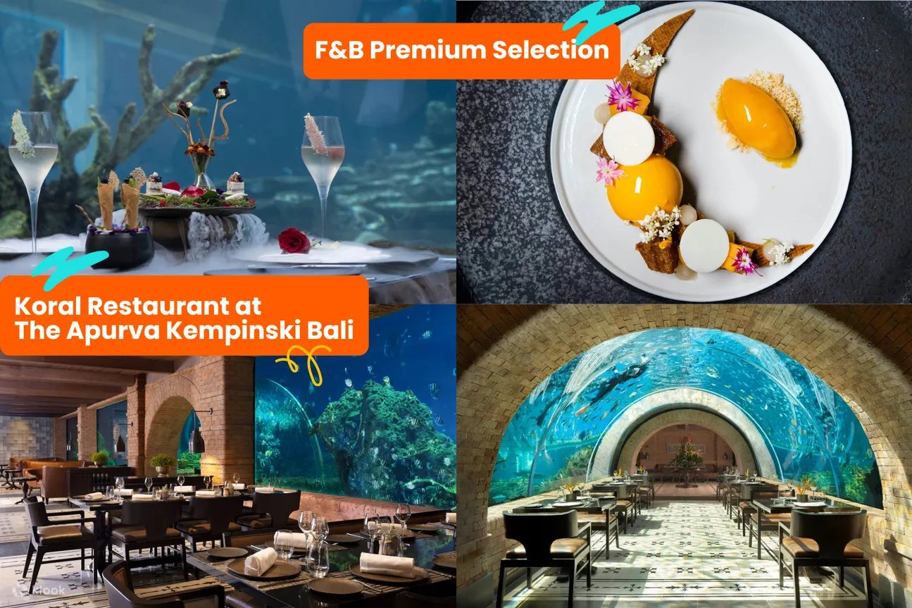 더아푸르바켐핀스키발리