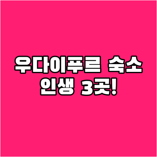 우다이푸르 숙소 베스트 3 수영장 있..