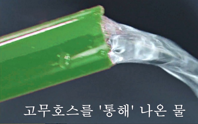 김장 김치 고무호스 클로로페놀 발암물질,김장하는법 김치 맛있게 담는법,건강 팁줌 매일꿀정보