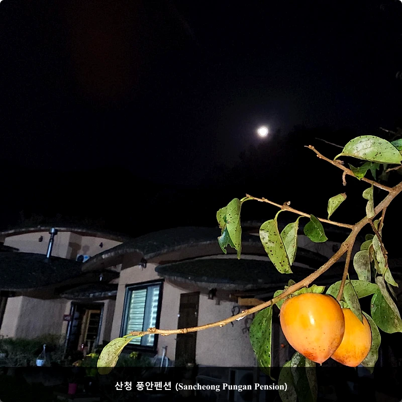 산청 풍안펜션 (Sancheong Pungan Pension)_1