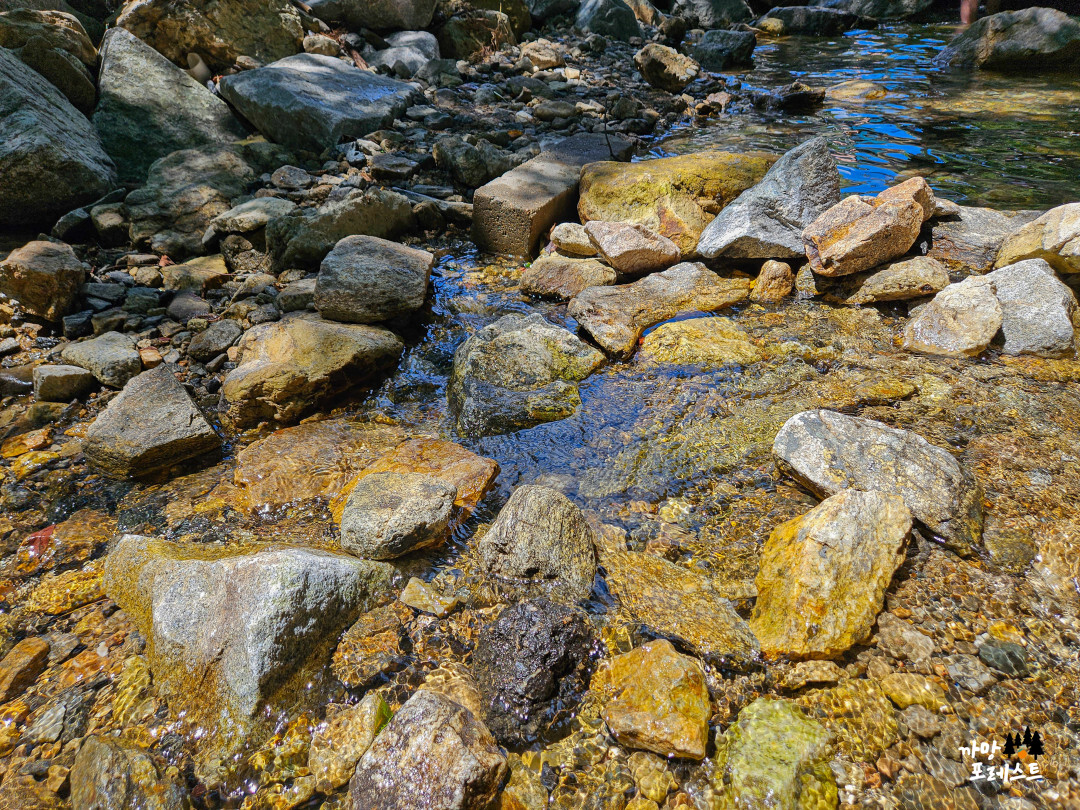 용인 고기리 계곡물