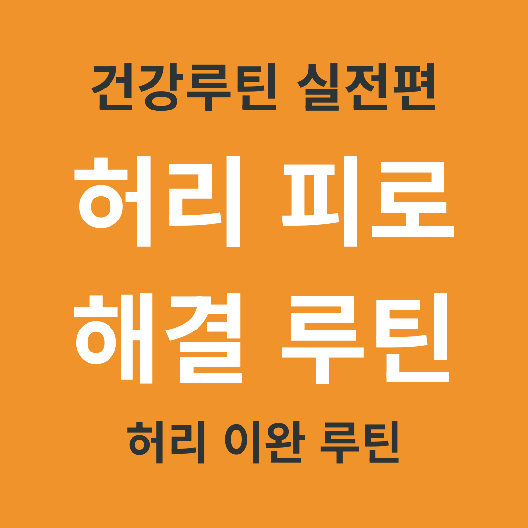 건강 루틴 실전편 6. 하루 동안 말린 허리 피로 해결 루틴