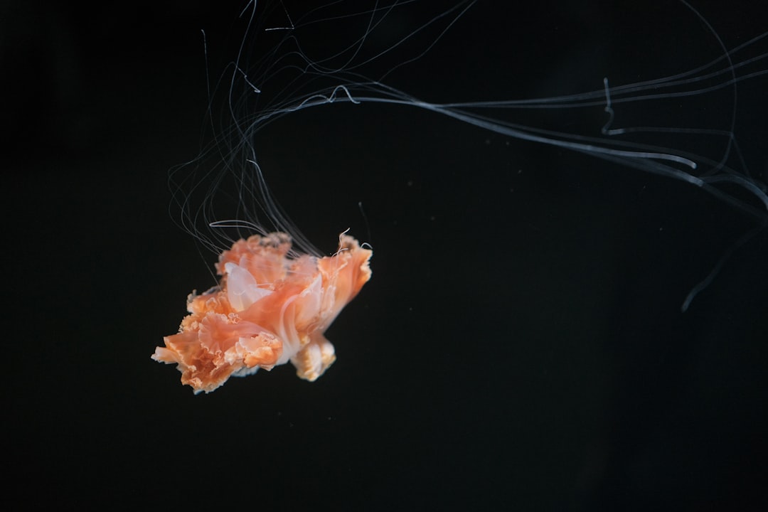 Lung cancer