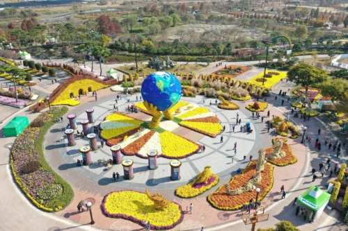 전남_함평_국화대전