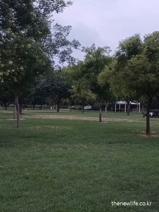 잔디밭에서 맨발 걷기를 즐기는 모습