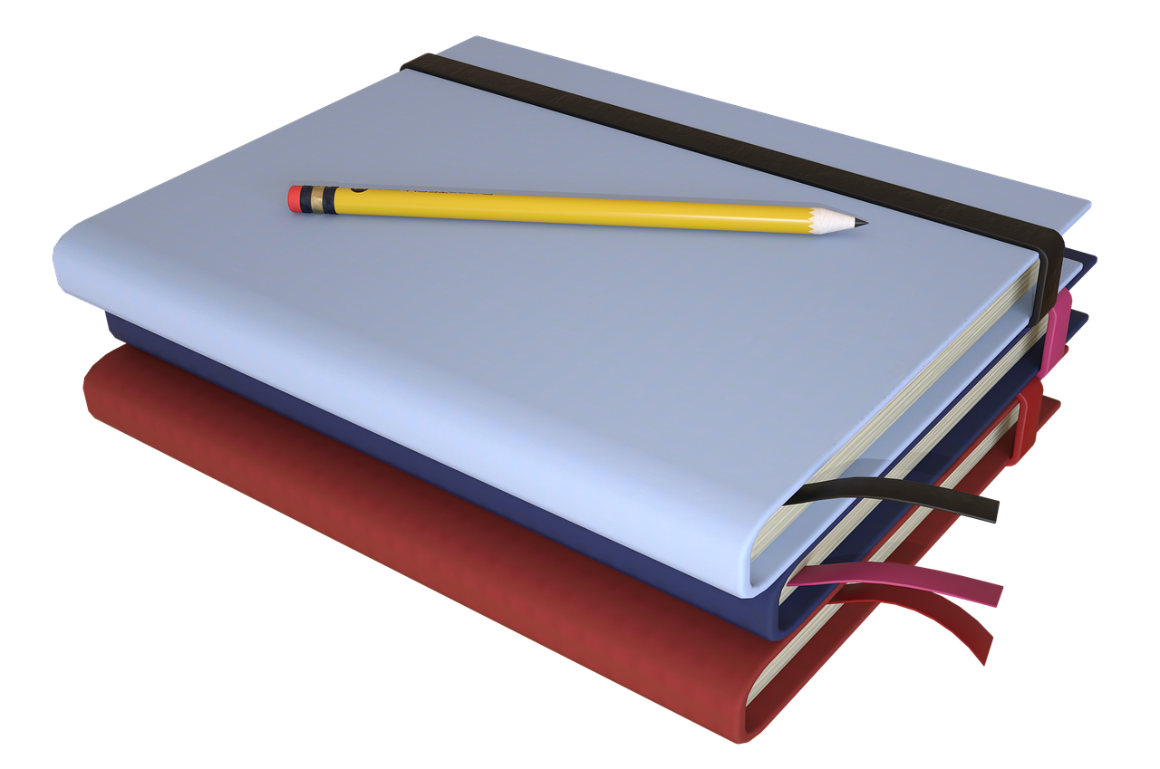 특수교육대상자 개별화교육계획(IEP), 맞춤형 교육의 시작점